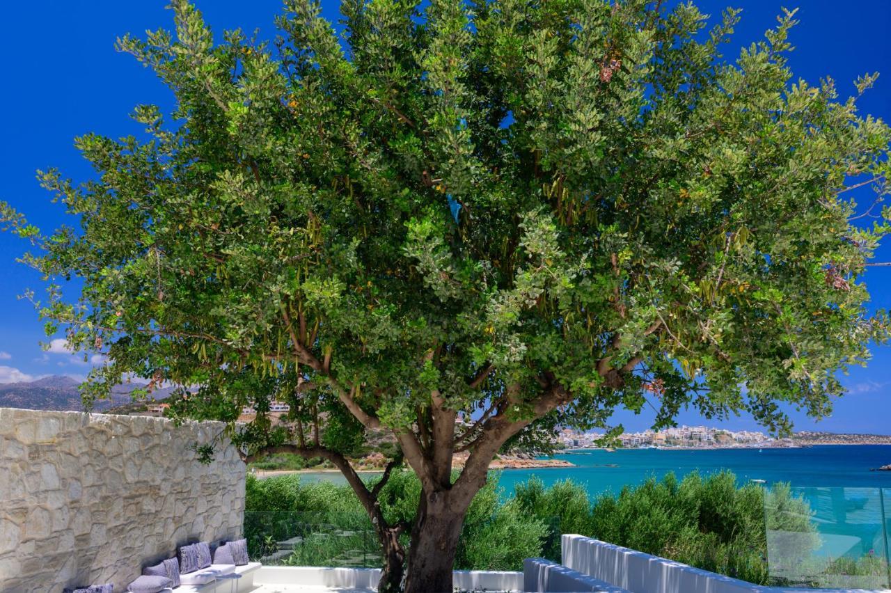 The Island Concept Luxury Boutique Hotel Heated Pool Agios Nikolaos  Bagian luar foto